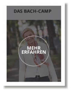 Antje Bach, Seminar Das Bach-Camp, Ihr Ausweg aus dem Stress