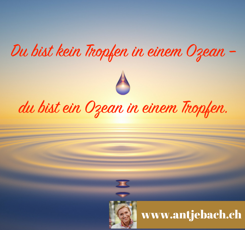 Antje Bach, Zitat, Zitatekarte, inspiriert, Ozean, Tropfen, Haltung, Unternehmen, Arbeit, Selbstbild, Eigenverantwortung