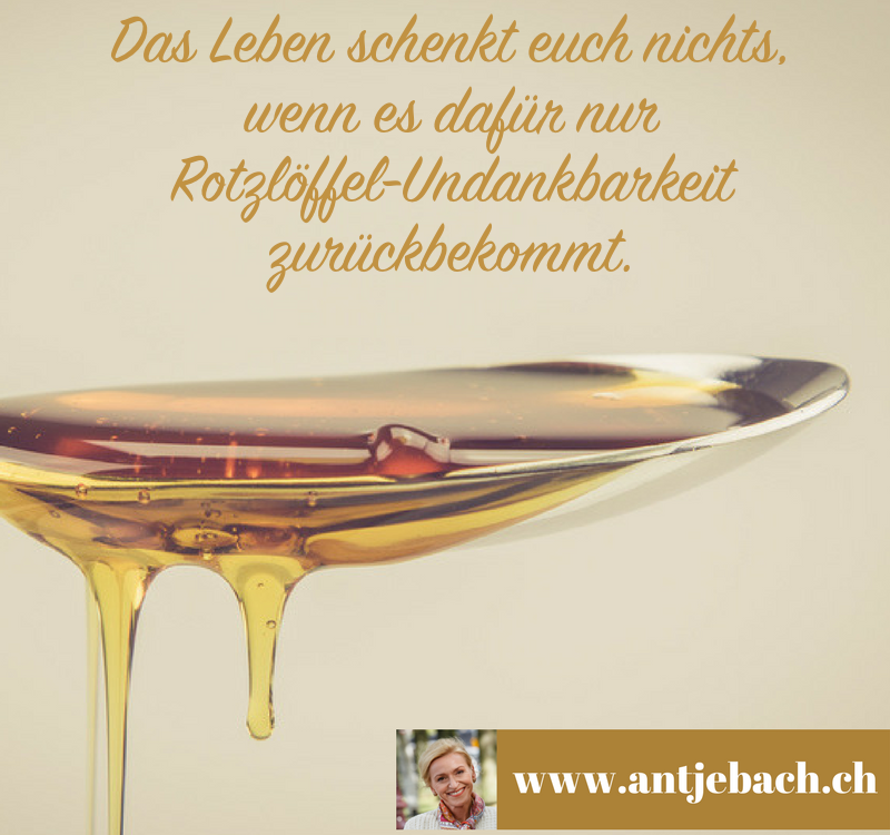 Antje Bach, Zitat, Zitatekarte, inspiriert, Undankbarkeit, Leben, Lebenseinstellung, Geschenk, Dankbarkeit, Sinnstiftung