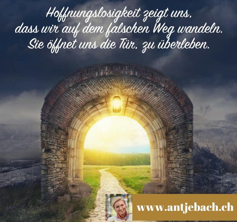 Antje Bach, Zitat, Zitatekarte, inspiriert, Hoffnungslosigkeit, Überleben, öffnen, Tür, Coaching, Hoffnung, Weg