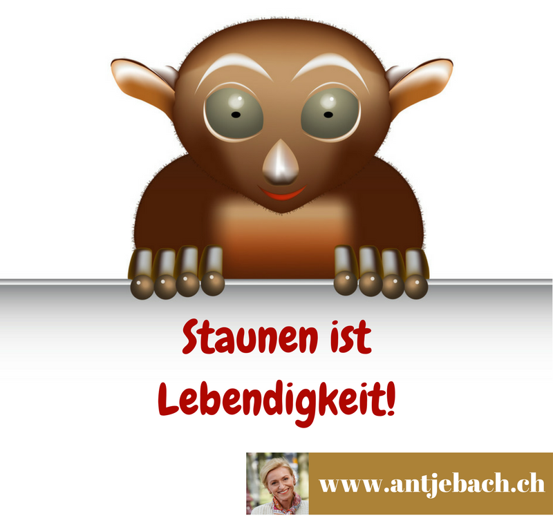 staunen, erstaunt, Lebendigkeit, Zitat, Inspiration