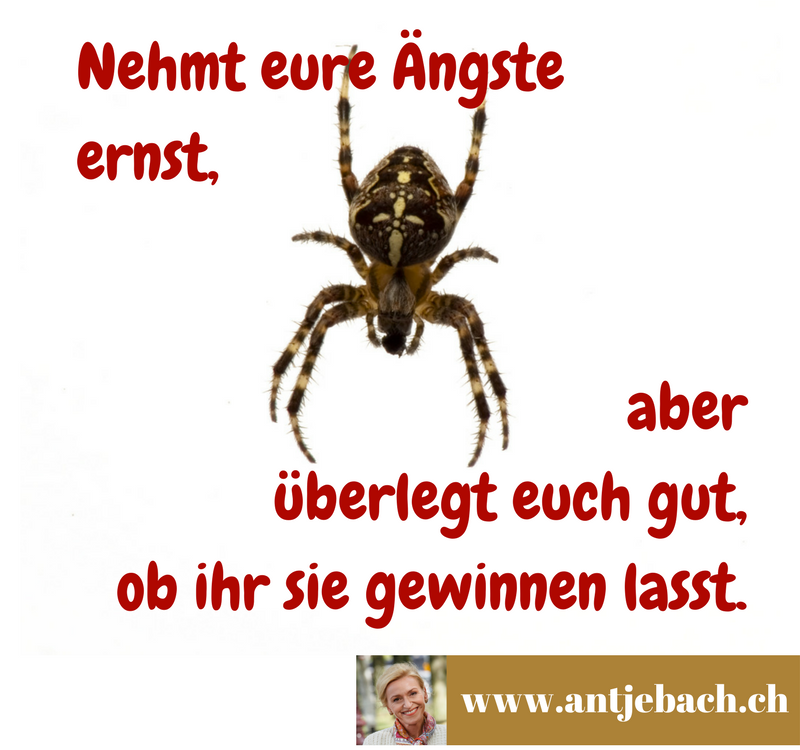 Antje Bach, Angst, Furcht, Angst besiegen