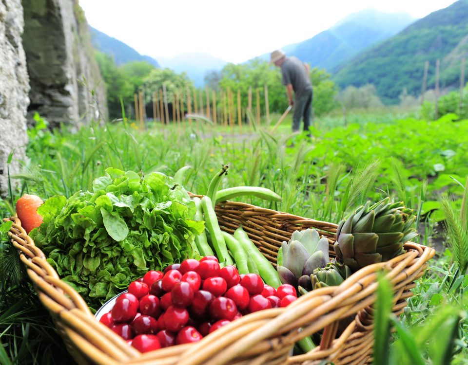Veränderung, Leben, Lebensqualität, Beziehung, Change, Erfolg, Business, Life, Charakter, Persönlichkeit