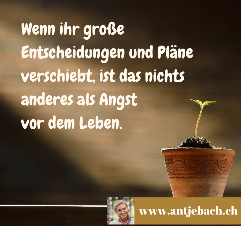 Antje Bach, Catchphrase, Inspiriert, Angst