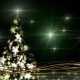 Weihnachtsbaum, Antje Bach, Weihnachten, Erfolg, Jahresrückblick
